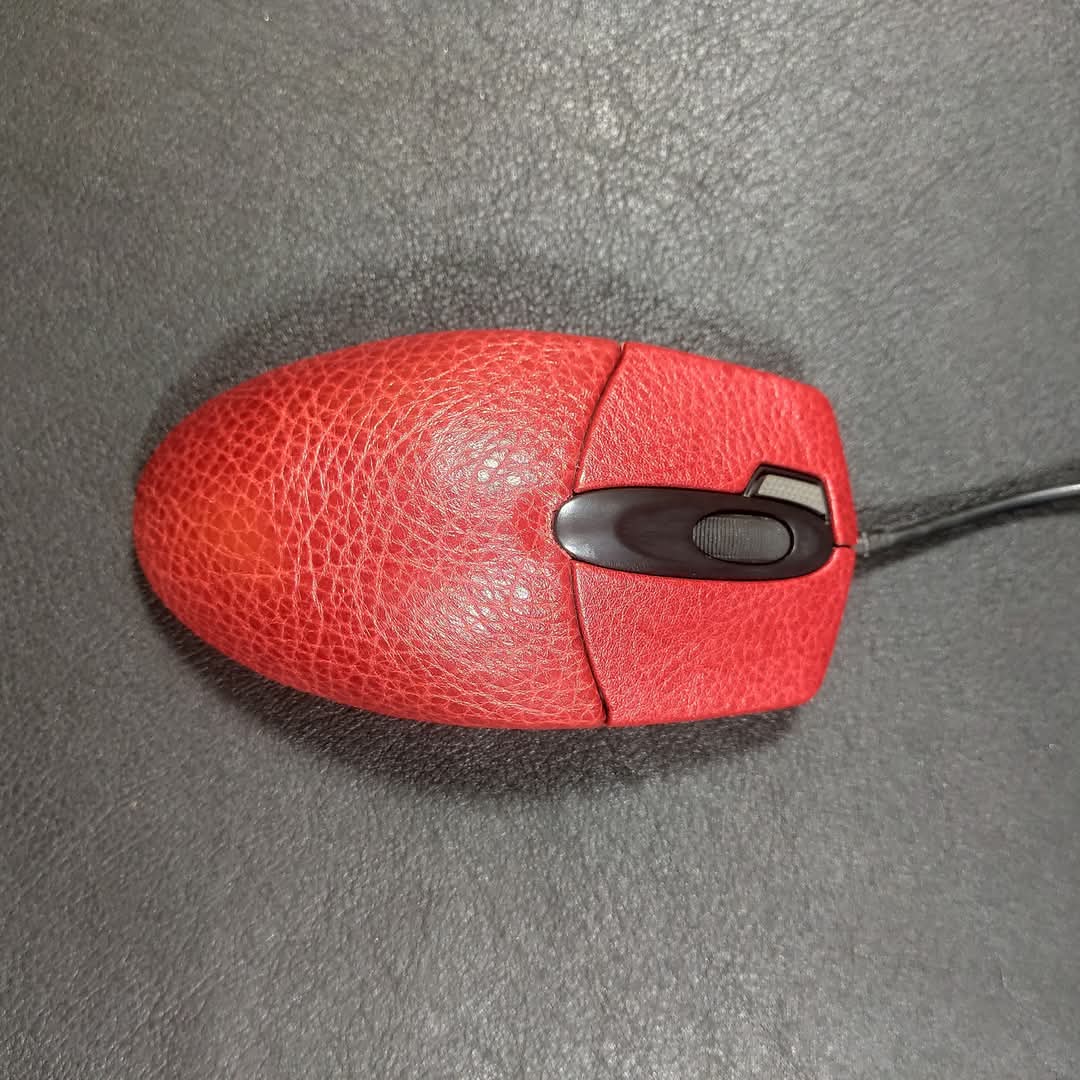 Mouse Cover
